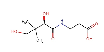 B5 pantothenic acid