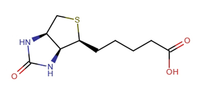 B7 Biotin Molecule