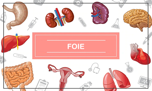 Foie