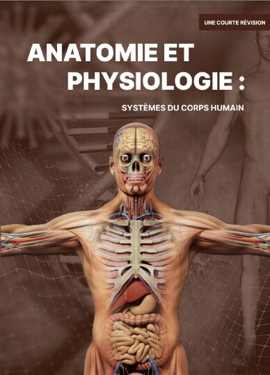 Anatomieet Physiologie